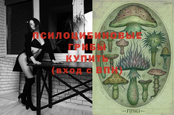 молекула духа Рославль