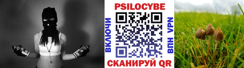 Псилоцибиновые грибы MAGIC MUSHROOMS  Купить  Аксай 
